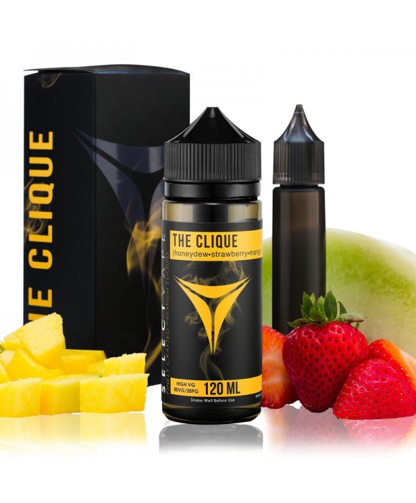 The Clique by Select Vape Liquids 120ml